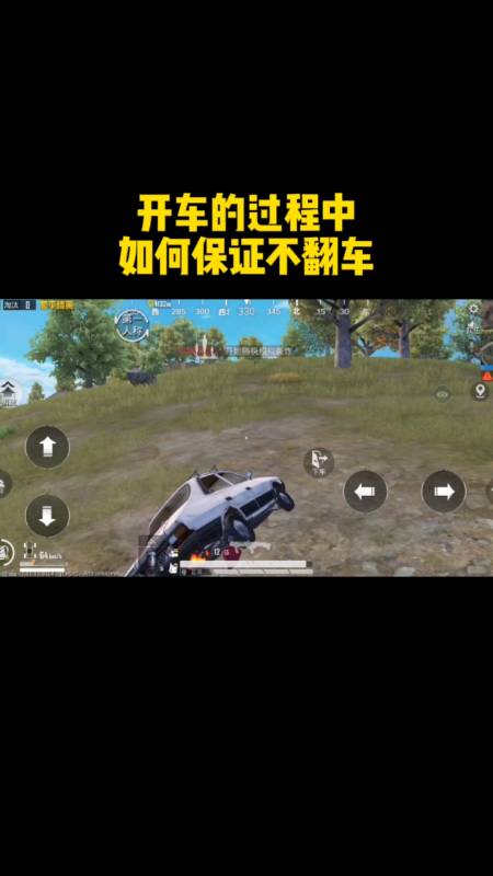 和平精英《番茄追踪》辅助